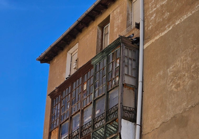 Las palomas se multiplican en diversos edificios abandonados de la ciudad