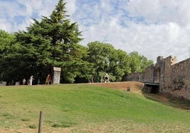 Castillo de Burgos.