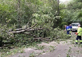 En Valle de Mena se han registrado numerosos incidentes.