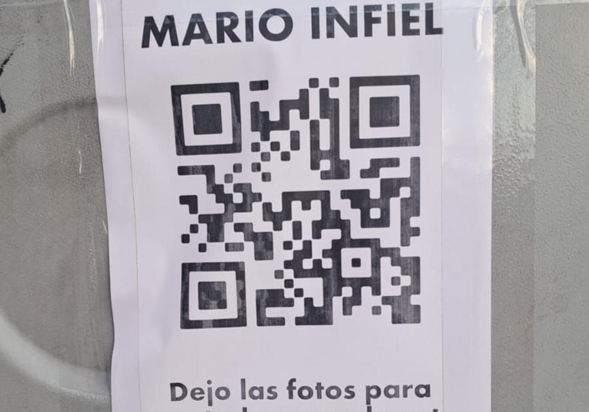 Imagen principal - Carteles de la campaña y web a la que dirigía.