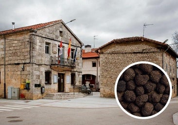 Un pueblo de Burgos acogerá un curso gratuito de truficultura este otoño