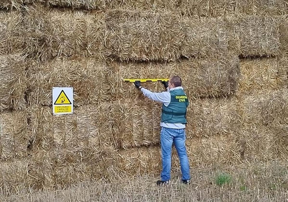 Foto de archivo de la Guardia Civil en una explotación agraria.