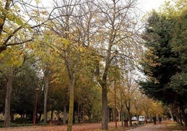Imagen del paseo de la Isla.