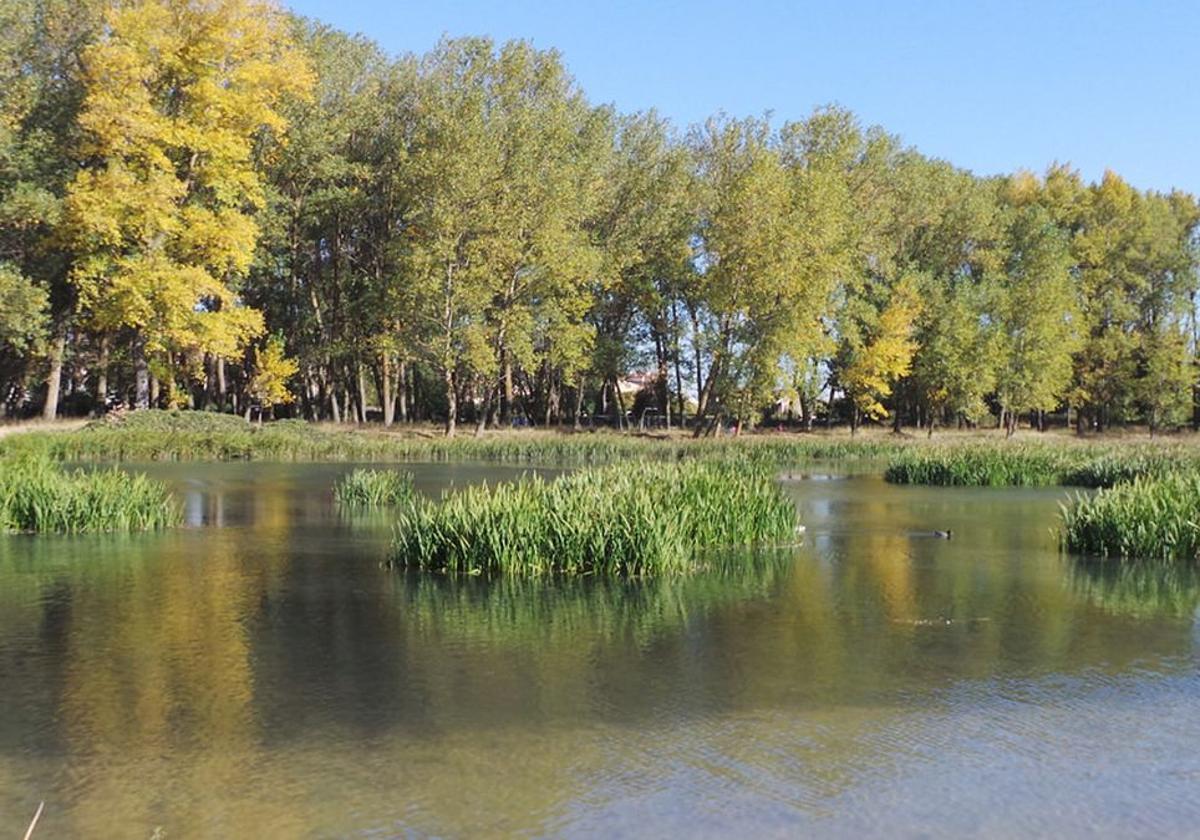 200.000 euros para rehabilitar el Humedal de Fuentes Blancas