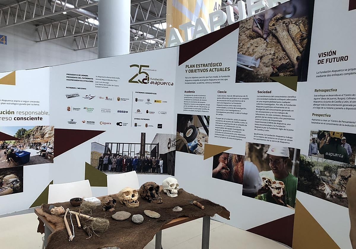 Stand de Atapuerca, en AR-PA.