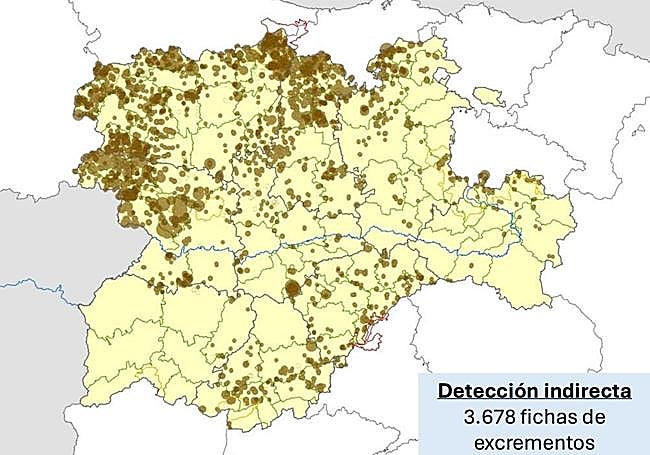 Excrementos de lobos detectados.