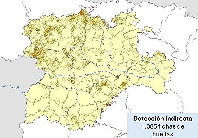 Huellas de lobos detectadas en la comunidad.