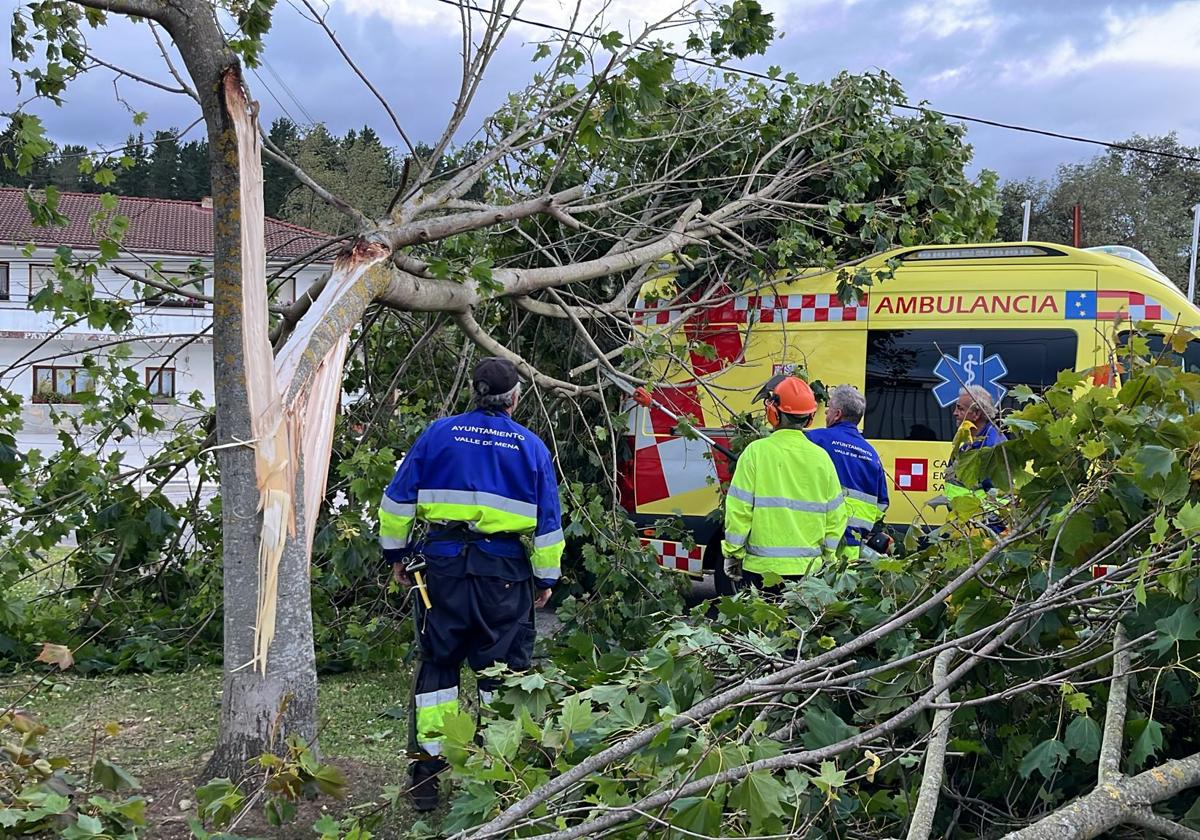 Durante el último aviso por viento se registraron multitud de problemas en la provincia de Burgos.