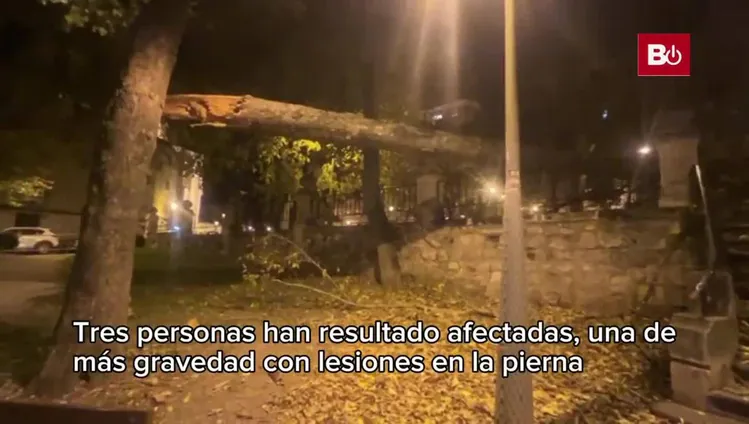 El viento tira la rama de un árbol en Burgos afectando a tres personas