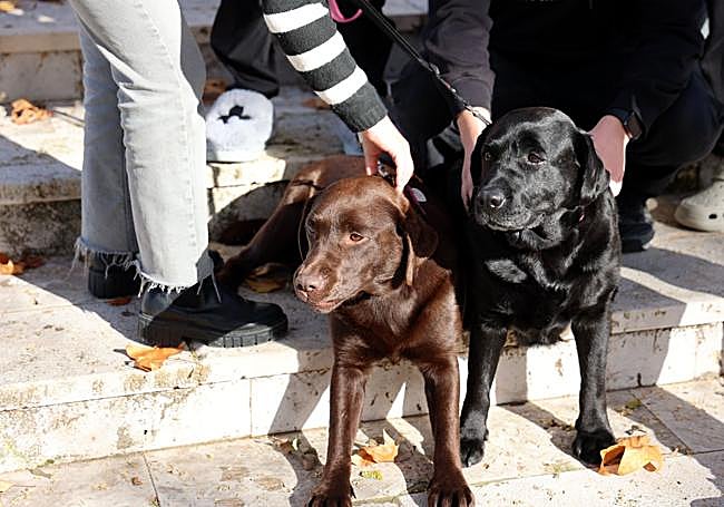Lucca y Dina en la residencia de estudiantes.