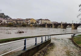 Imagen de una crecida del Ebro a su paso por Miranda.