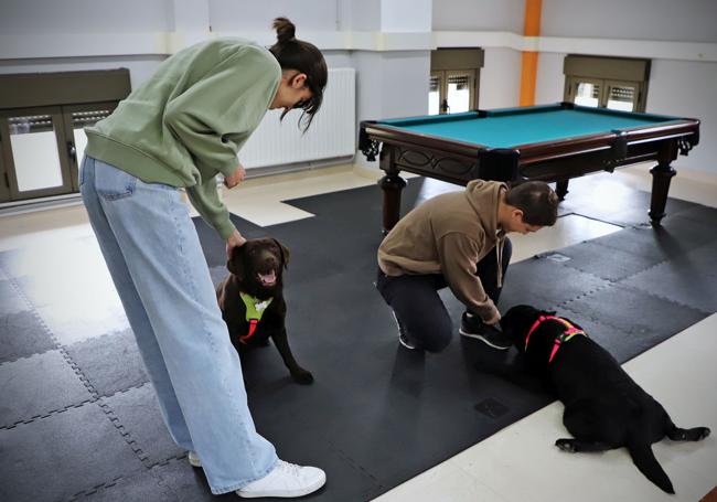 Ana e Iyán con las dos perras en la sala de juegos y gimnasio.