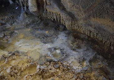 Realizan el primer estudio sobre huellas de osos de las cavernas en la península ibérica