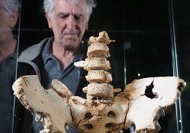 Arsuaga junto a la Pelvis Elvis, hallada en la Sima de los Huesos de Atapuerca.