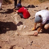 Un dinosaurio de tres toneladas de peso y más de 10 metros de longitud