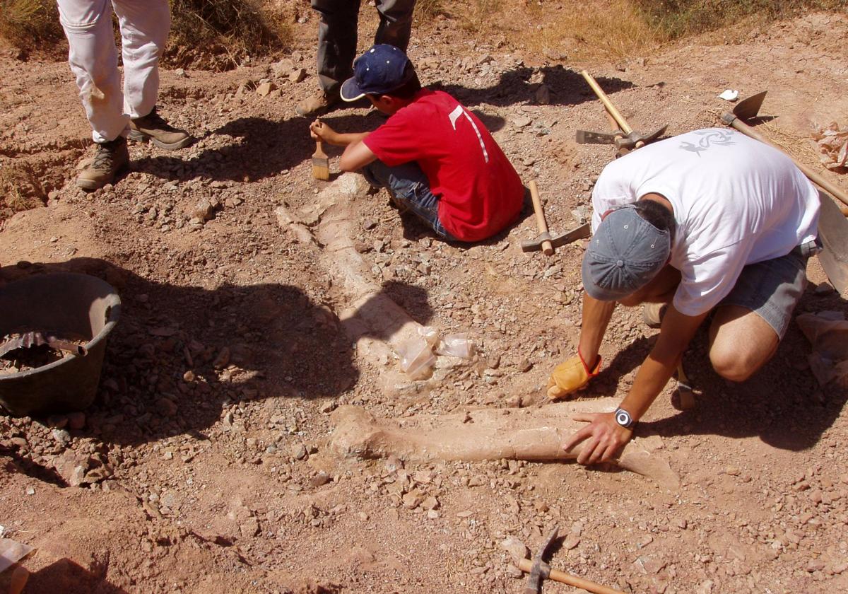 Excavación en La Tejera, en 2017.