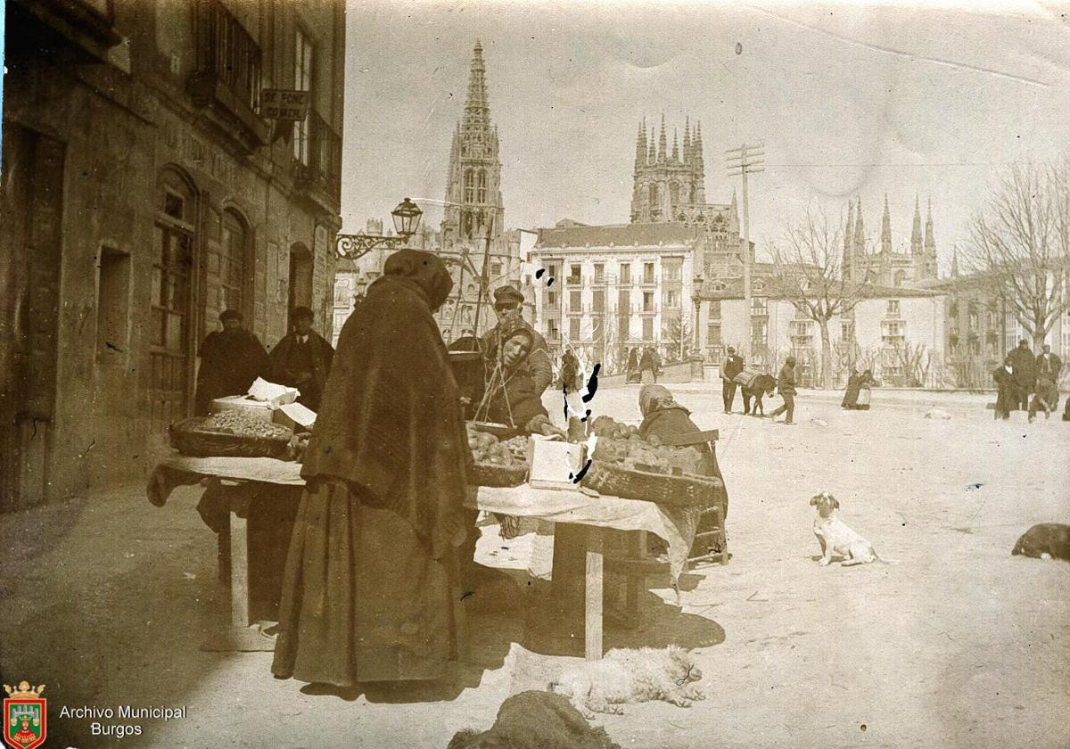 La plaza Vega con un mercado ambulante y los animales disfrutando del sol.