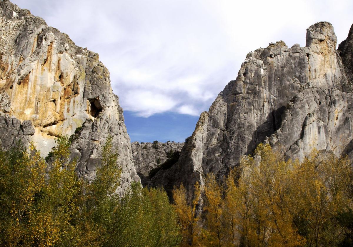 Vista del Parque Natural Sabinares del Arlanza - La Yecla.