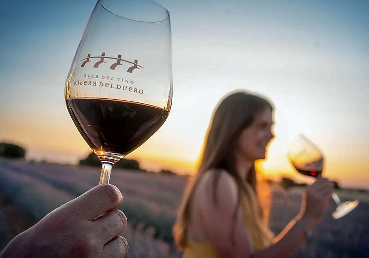 La Ruta del Vino Ribera del Duero supera los 240 servicios y el centenar de municipios adheridos