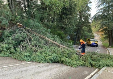 Nueve incidentes en Burgos por la lluvia y los fuertes vientos