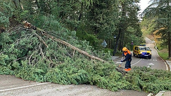 Nueve incidentes en Burgos por la lluvia y los fuertes vientos
