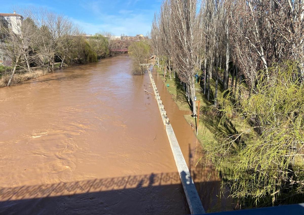 Imagen secundaria 1 - Imágenes del Duero desbordado en Aranda este lunes.