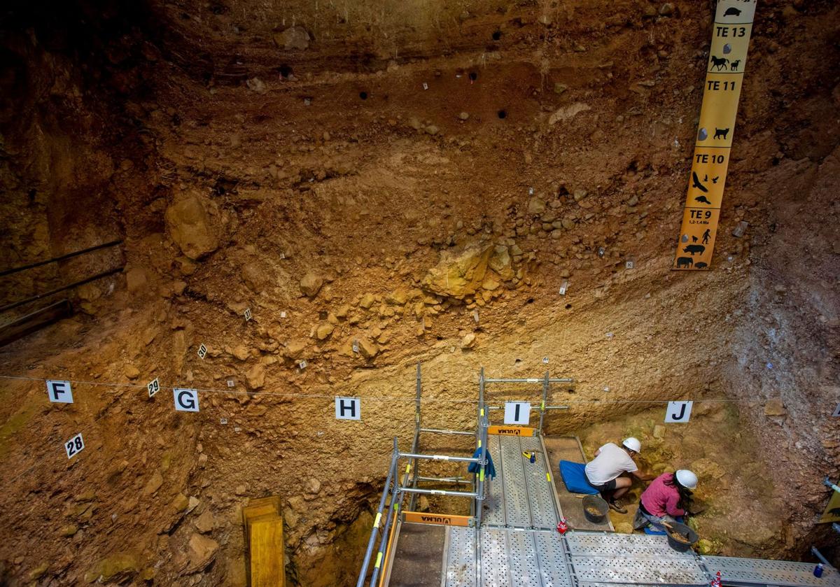 Imagen principal - Arrriba, excavaciones en la campaña de 2023; abajo, vista frontal de la reconstrucción virtual de ATE7-1 y Sima del Elefante.