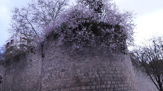 Torre de los suicidas en Burgos.