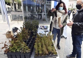 Miembros de Asfobur repartiendo árboles, en una edición anterior.