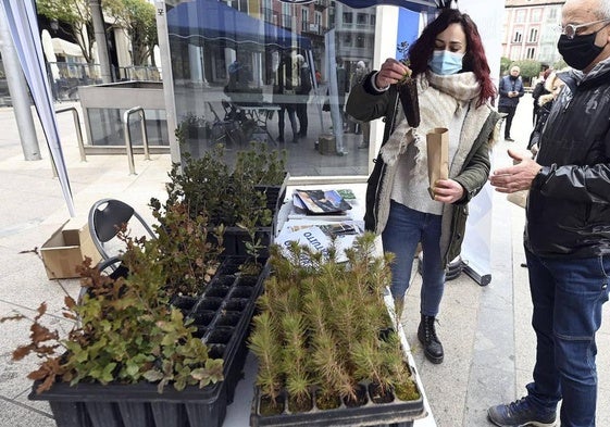 Miembros de Asfobur repartiendo árboles, en una edición anterior.