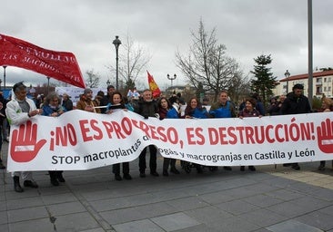 Decenas de burgaleses se manifiestan en Valladolid contra las macrogranjas y plantas de biogás