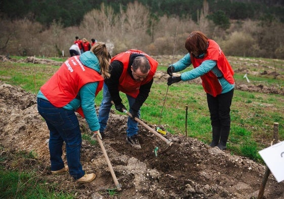 Voluntarios durante la plantación de los frutales.