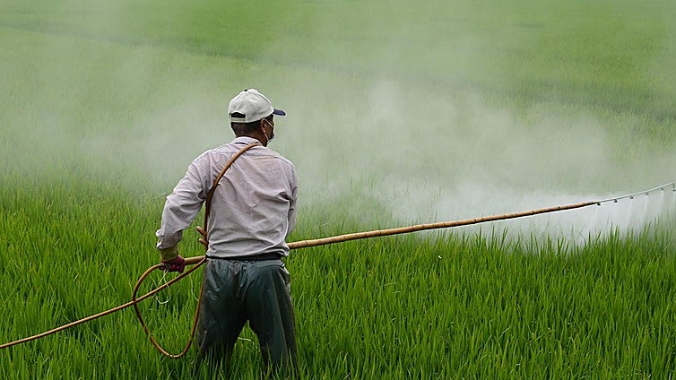 La Universidad de Burgos publica un libro sobre el impacto de los agroquímicos en Argentina