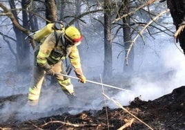 Un profesional trabaja en la extinción de un incendio.