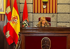 Ayala en el Pleno