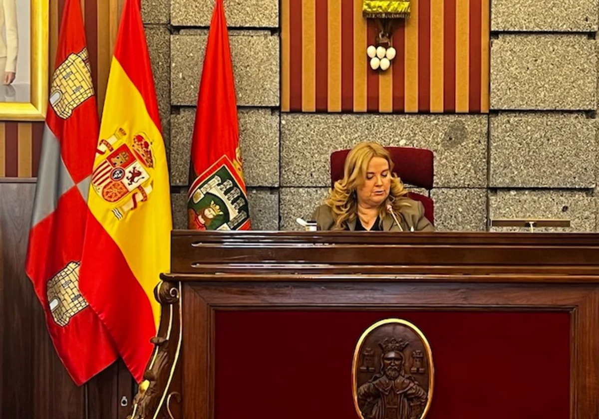 Ayala en el Pleno