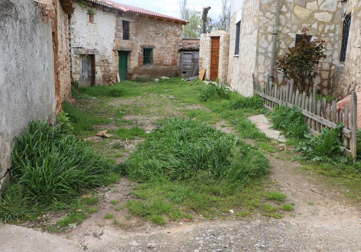 El mal estado de las calles de Villanueva Matamala, en imágenes
