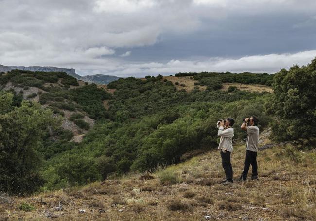 Turistas viendo aves en la zona de Ordejones.