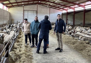 28,5 millones en ayudas para más de 1.300 agricultores y ganaderos incorporados a intervenciones agroambientales