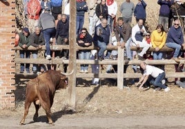 Critican que un pueblo de Burgos ofrezca la entrada gratis a niños a actos taurinos