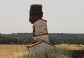 El nido de cigüeña más famoso de España que está en Burgos y se ha hecho viral