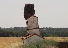 Nido de cigüeña en Burgos que ha hecho ceder la estructura de esta balsa de regadío creando una imagen muy curiosa.