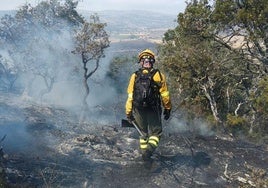 Imagen de archivo de un trabajador forestal durante un incendio ocurrido en Castilla y León.