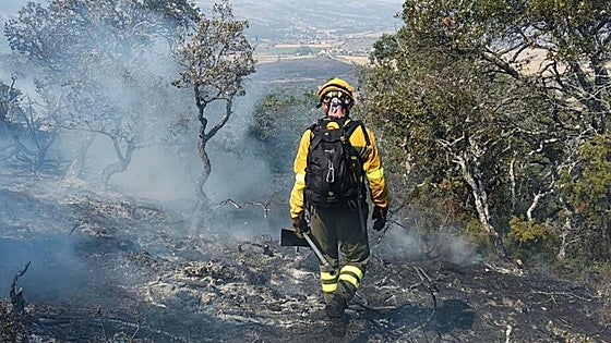 La denuncia de los trabajadores forestales de Burgos: «Estamos quemados»