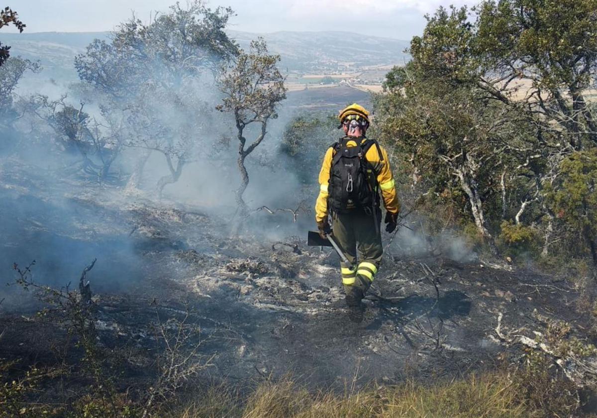 Imagen de archivo de un trabajador forestal durante un incendio ocurrido en Castilla y León.
