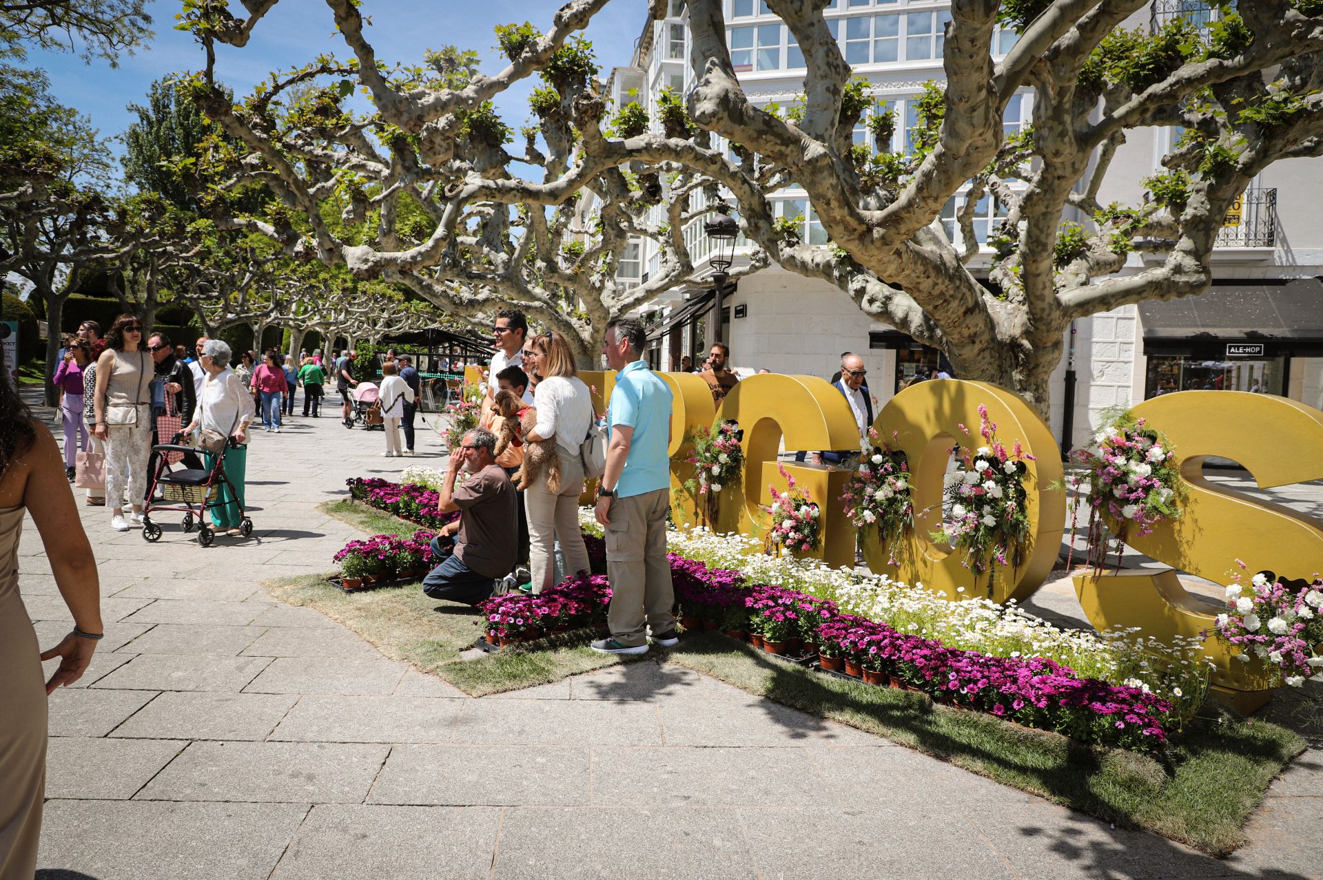 La Fiesta de las Flores de Burgos, en imágenes