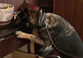 Así ha sido, en imágenes, la operación antidroga en la provincia de Burgos