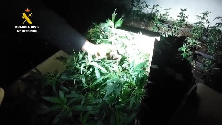 Operación antidroga en Burgos
