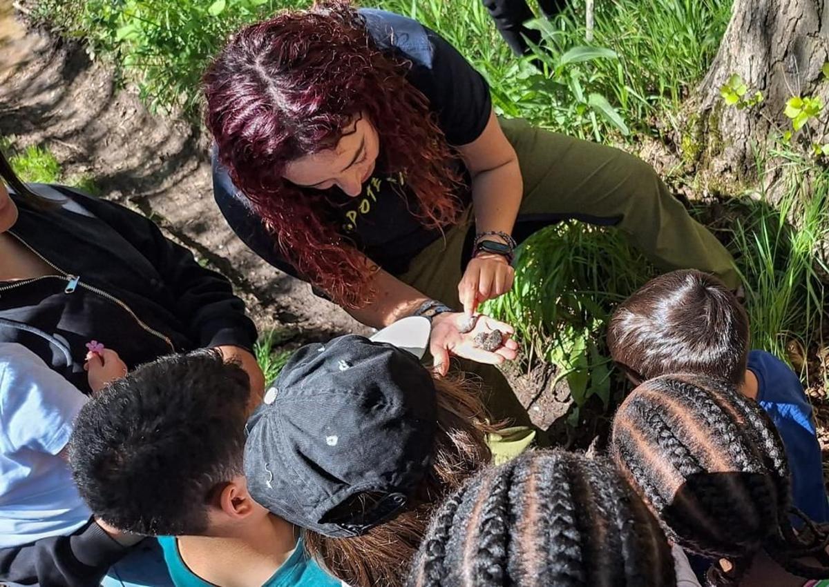 Imagen secundaria 1 - Arriba, orquídeas en Peña Amaya; abajo a la izquierda, Colegeo y, a su lado, investigadores de la UBU en la Cueva de los Franceses.