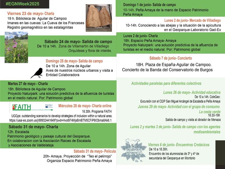 Programa de actividades.